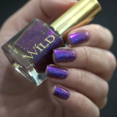 WILD - Time Warp na internet