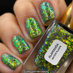Alamanda - whatcha