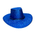 GORRO VAQUERO LISO C/GLITTER - Promo x 6un.