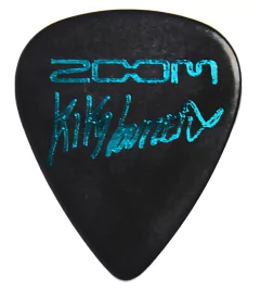 Palheta Kiko Loureiro (Zoom) - comprar online