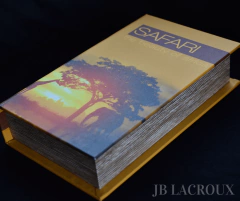 BOOK BOX SAFARI PEQUEÑO - comprar online