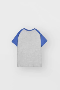 Remera Clemente Gris - comprar online