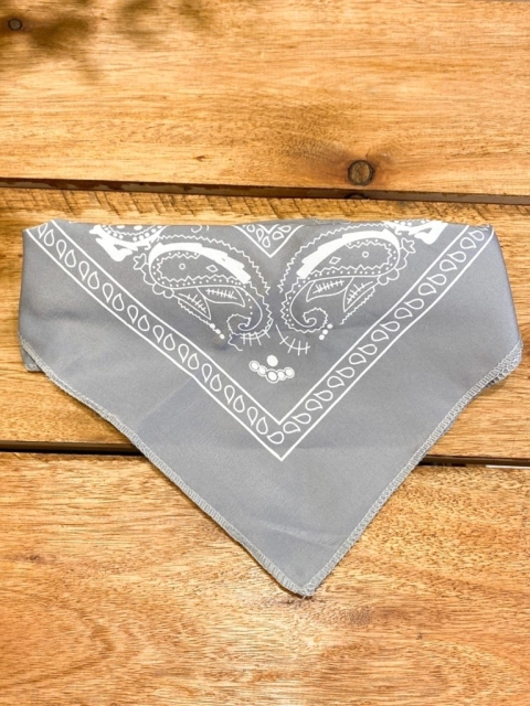 Pañuelo Wonderland Gris