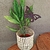 Portaespiral Hierro | PINCHO - tienda online