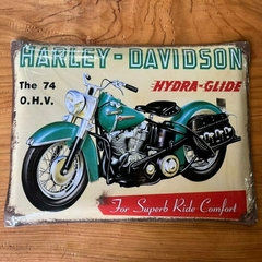 Chapa 30 X 40 HARLEY HYDRA – M3