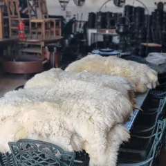 Cuero de oveja – Muflón en internet