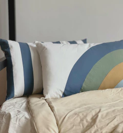 Almohadón RAYAS JOY en internet