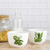 BOWL REDONDO JUNGLA - comprar online
