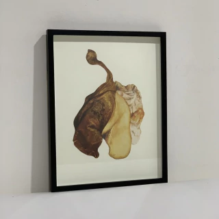 Juana Simona. Pulmón amarillo, 30 x 20 cm