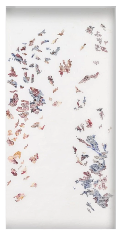 Adriana Carambia. Serie Fragmentario (Individual), 150 x 80cm.