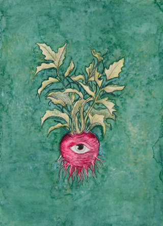 Ezequiel Albanell. Mandrágora 13, 54 x 42 cm - comprar online