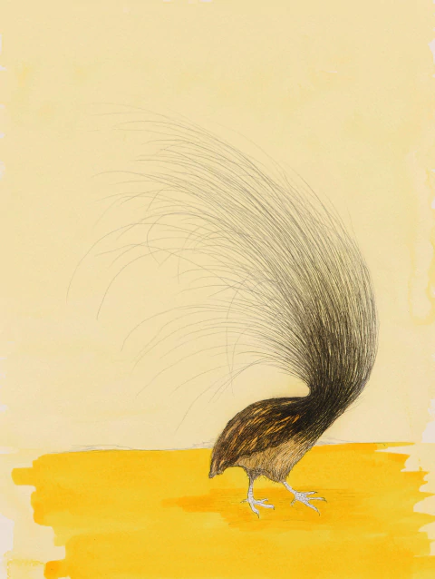 Ezequiel Albanell. Mandrágora 14, 54 x 42 cm - comprar online
