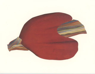 Juana Simona. Ser atravesada, 23 x 30 cm