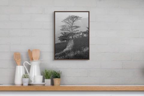 Agnes Lanfranco. Zapa Tree, 60 x 80 cm - buy online