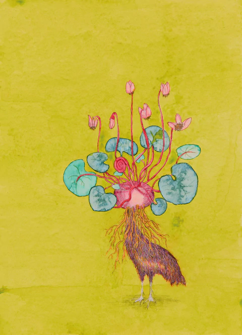 Ezequiel Albanell. Mandrágora 17, 54 x 42 cm - comprar online