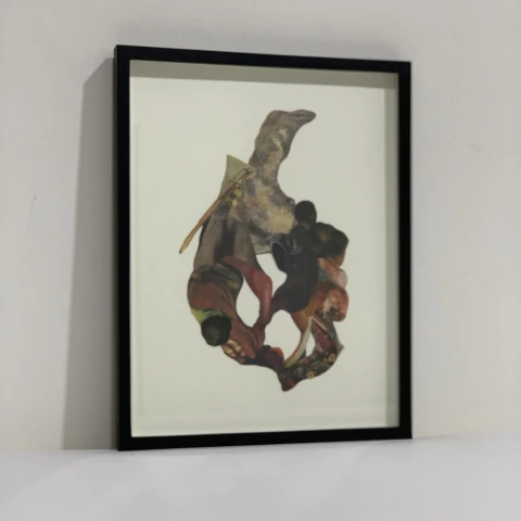 Juana Simona. Pulmón mixto, 30 x 20 cm