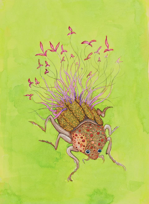 Ezequiel Albanell. Mandrágora 3, 54 x 42 cm - comprar online