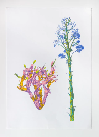 SANTIAGO ROBLES.LA CIUDAD NO TERMINA AQUI. 30X42 CM.