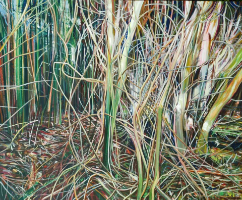 Adrian Paiva. Sin título, 90 x 110 cm
