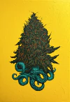 Ezequiel Albanell. Mandrágora 5, 120 x 80 cm