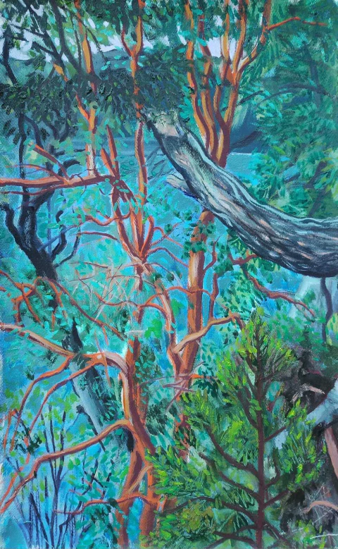 Adrian Paiva. Sur, 37 x 22 cm