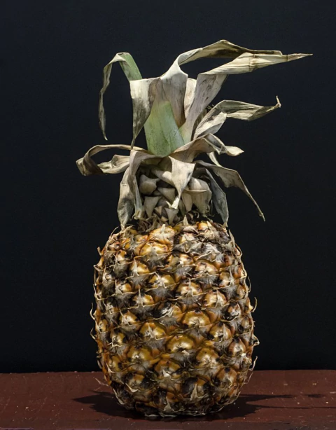 Francesca Darget. Ananá, 70 x 55cm.