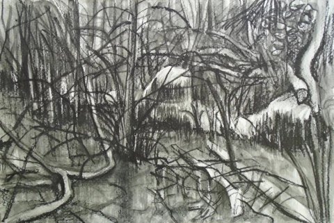 Adrian Paiva. Sin titulo 17 x 24 cm