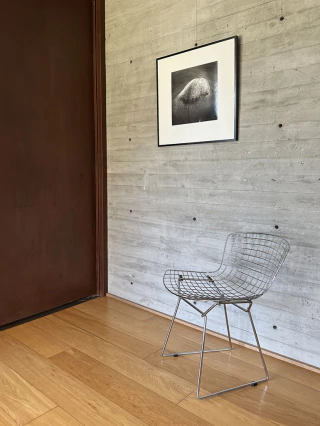 Felicitas Bonino. Aluminé, 60 x 60 cm