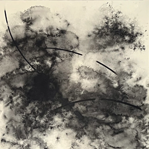 ERNESTO ALVA. DISTORSIÓN 03. 117 X 117 CM - comprar online