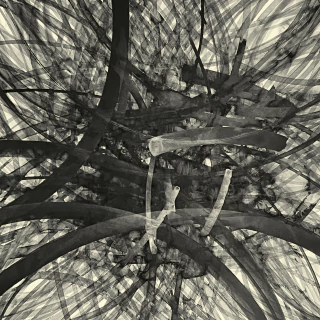 ERNESTO ALVA. DISTORSIÓN 04. 117 X 117 CM - buy online