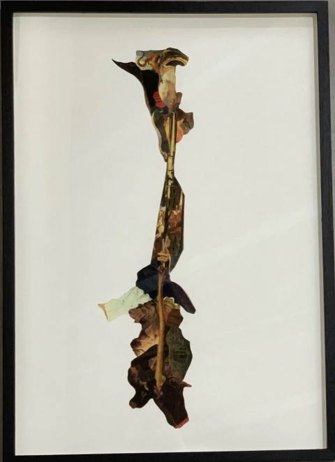 Juana Simona. Vara de Esculapio I, 52 x 37 cm - comprar online