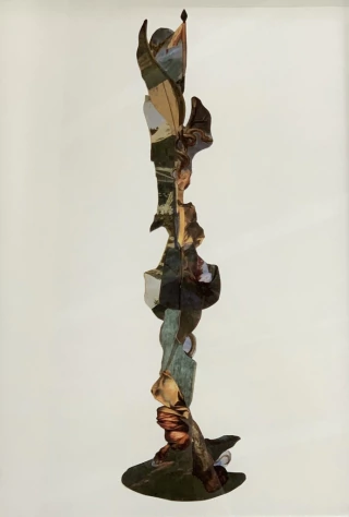 Juana Simona. Vara de Esculapio II, 52 x 37 cm - buy online