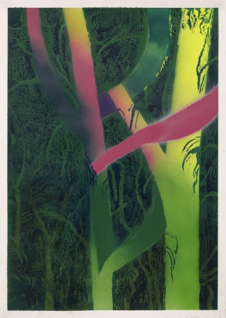 Federico Villarino. Blue Moon II, 70 x 50 cm