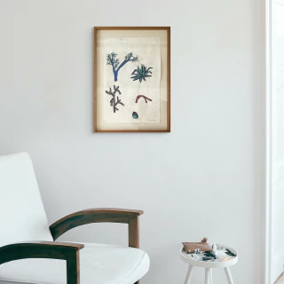 Serrana Sol del Castillo. Botánico II, 58 x 38 cm - comprar online