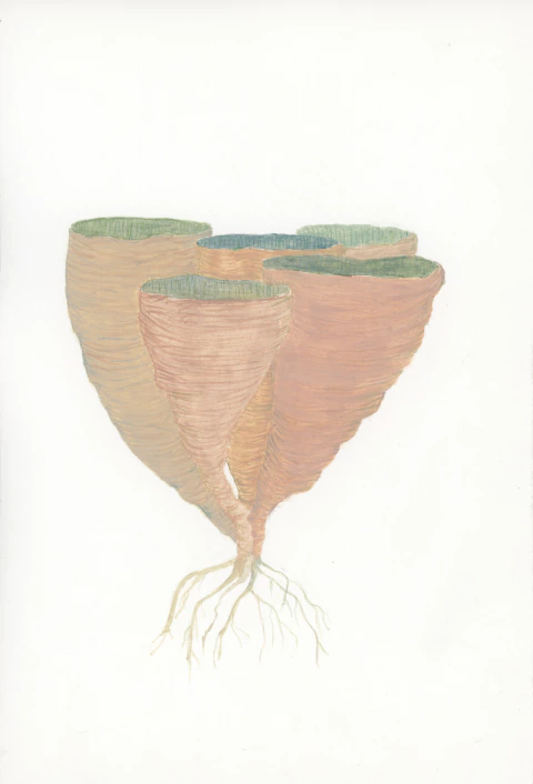 Cintia Fernandez Padin. Sin titulo, 30 x 25 cm - comprar online