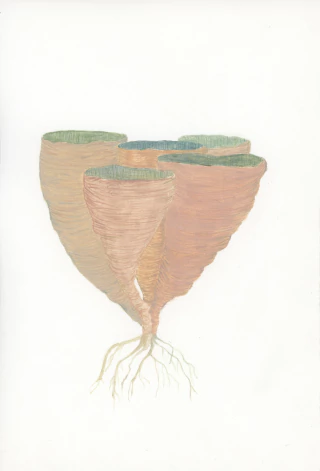 Cintia Fernandez Padin. Sin titulo, 17 x 25 cm - comprar online