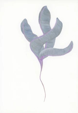 Cintia Fernandez Padin. Sin titulo, 17.5 x 25 cm - buy online