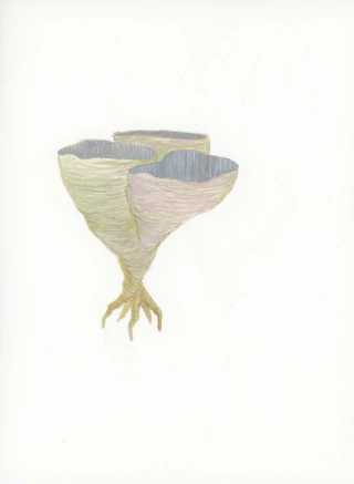 Cintia Fernandez Padin. Sin titulo, 18.5 x 25 cm - comprar online