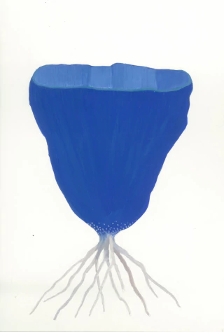 Cintia Fernandez Padin. Otras naturalezas, 21 x 14 cm