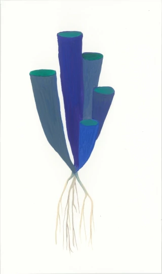 Cintia Fernandez Padin. Otras Naturalezas (coral azul), 21 x 12,5 cm