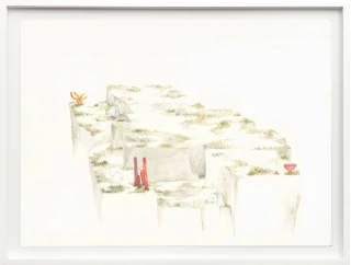 Cintia Fernandez Padin. Otras Naturalezas Color, 30 x 24,5 cm - comprar online