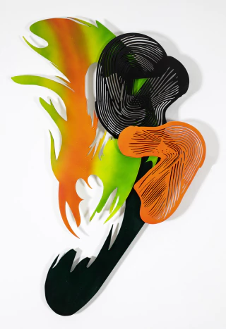 Cecilia Duhau. Calatea C, 80 x 128 x 10 cm