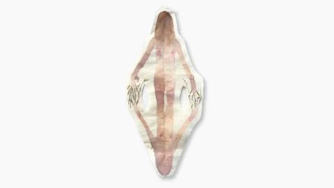 Mariana Cannizzaro. Espejo II, 29 x 11 cm
