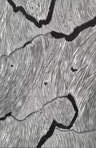 ERNESTO ALVA. FLUJOS III. 118 X 78 CM.