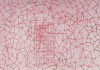 Luciana Levinton. L22, 70 x 100 cm.