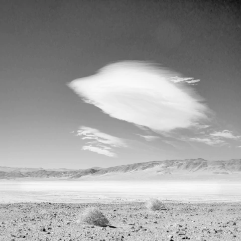 Agnes Lanfranco. Mirar las nubes, 100 x 100 cm - comprar online