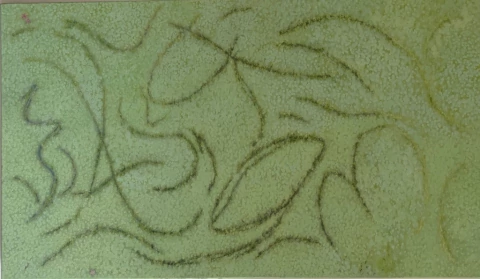 Catalina White. Lentejitas de agua en arroyo II, 70 x 120 cm