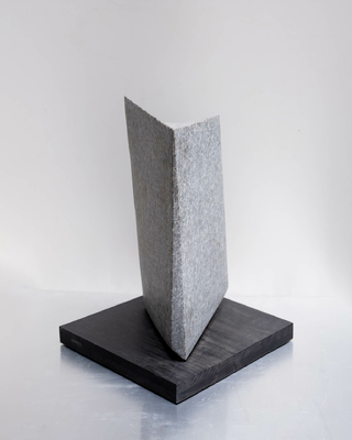 Pablo Fracchia. Libro, 47 x 32 x 18 cm