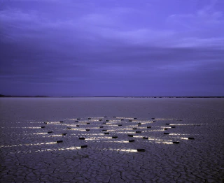 ALFREDO DE STEFANO. LUCIÉRNAGAS, 128 x 160 CM.