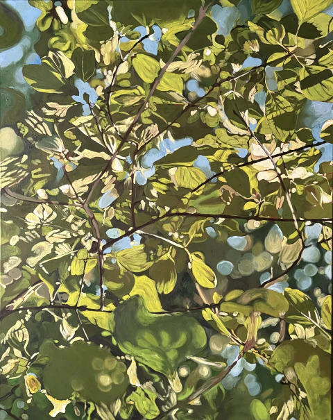 Cecilia Capurro. Luz IV, 122 x 96 cm